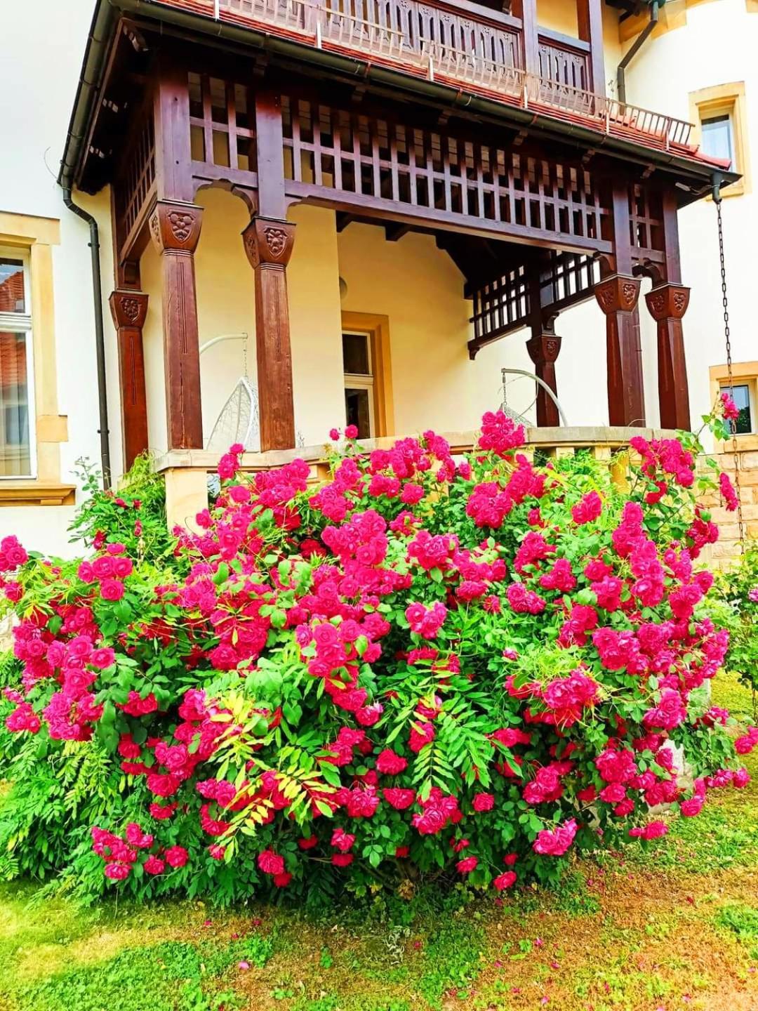 Hotel Palacyk Legnica Buitenkant foto
